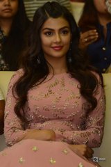 Anisha Ambrose At Okkadu Migiladu Movie Pre Release Function